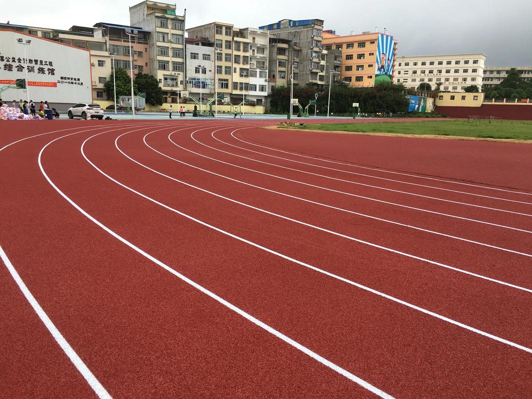 万宁市EPDM颗粒塑胶跑道材料 - 推荐